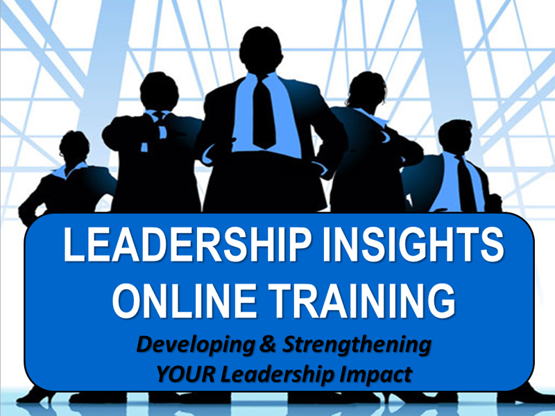 Leadership Insights Training